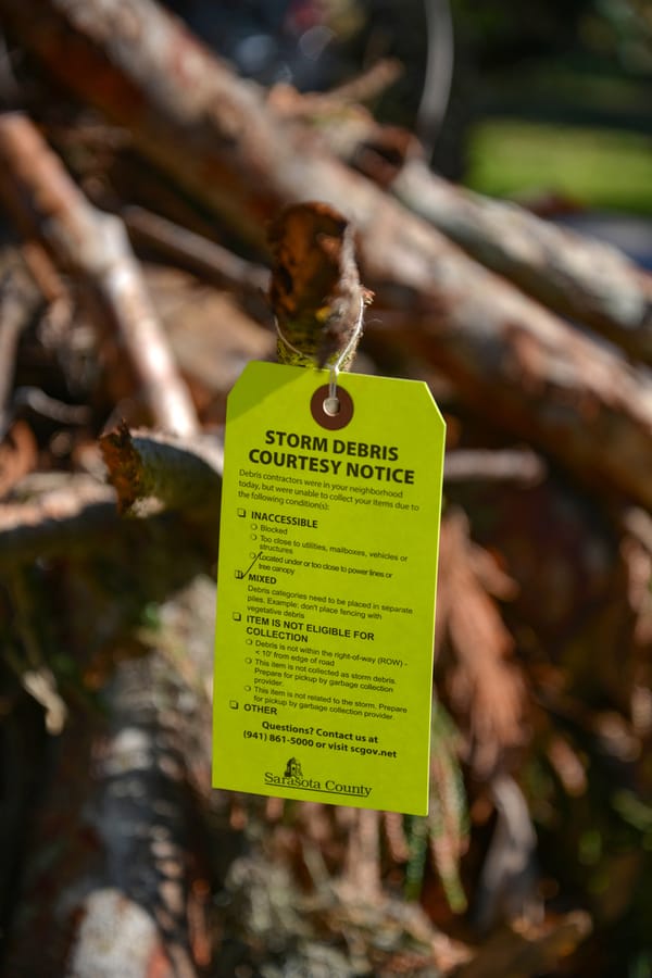 Ian - Vegetative Debris Removal
