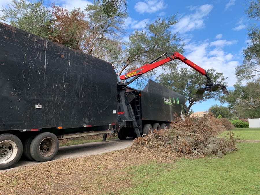Ian - Vegetative Debris Removal