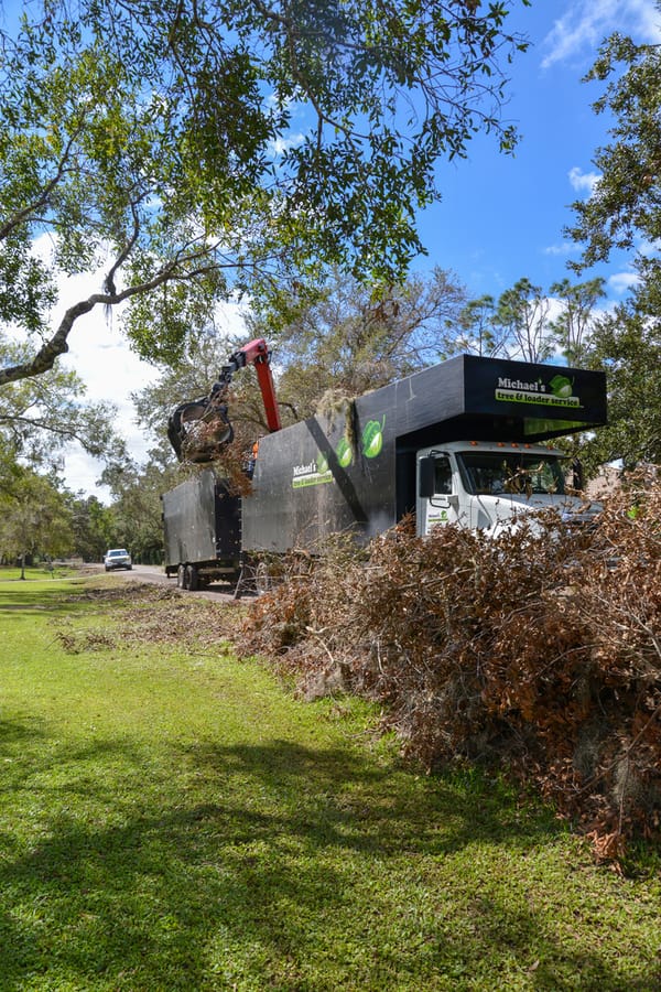Ian - Vegetative Debris Removal