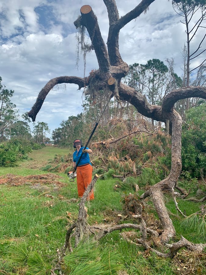 Hurricane Ian - Parks