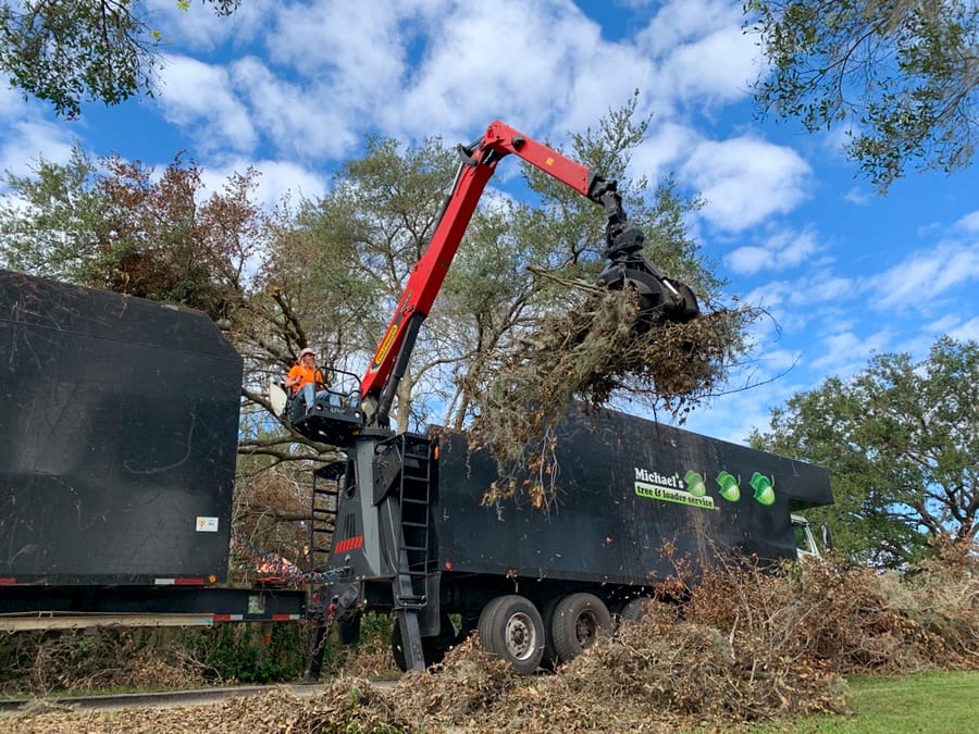 Ian - Vegetative Debris Removal