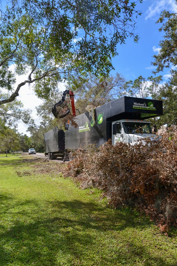 Ian - Vegetative Debris Removal