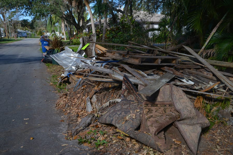 Ian - Vegetative Debris Removal