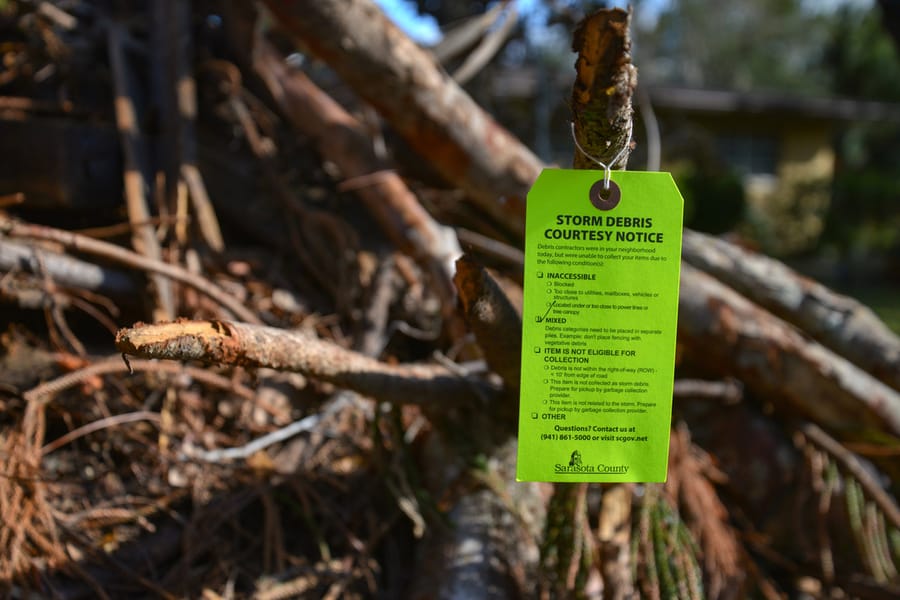 Ian - Vegetative Debris Removal