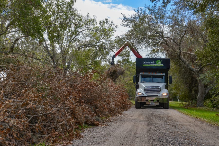 Ian - Vegetative Debris Removal