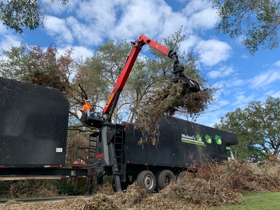 Ian - Vegetative Debris Removal