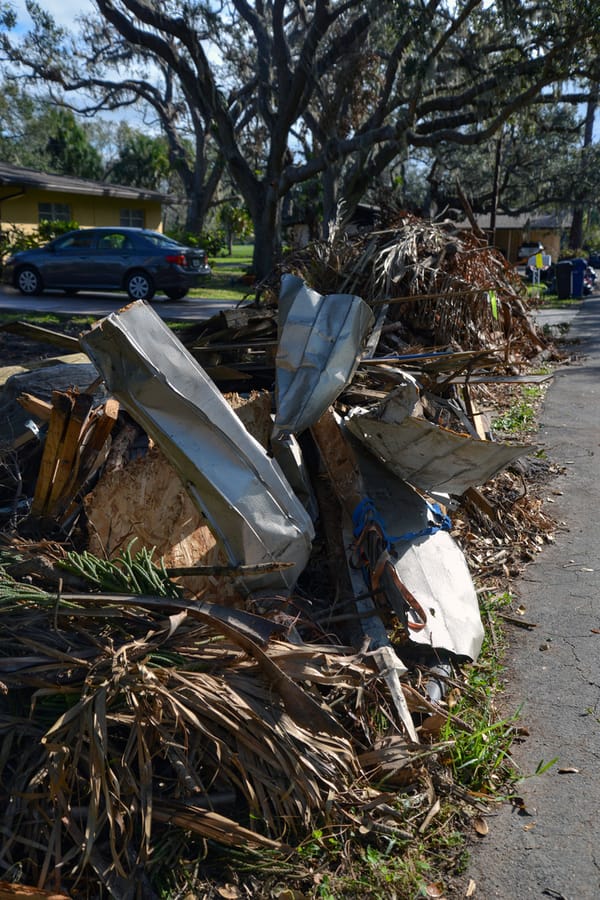 Ian - Vegetative Debris Removal
