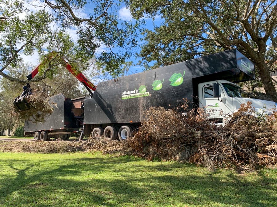 Ian - Vegetative Debris Removal