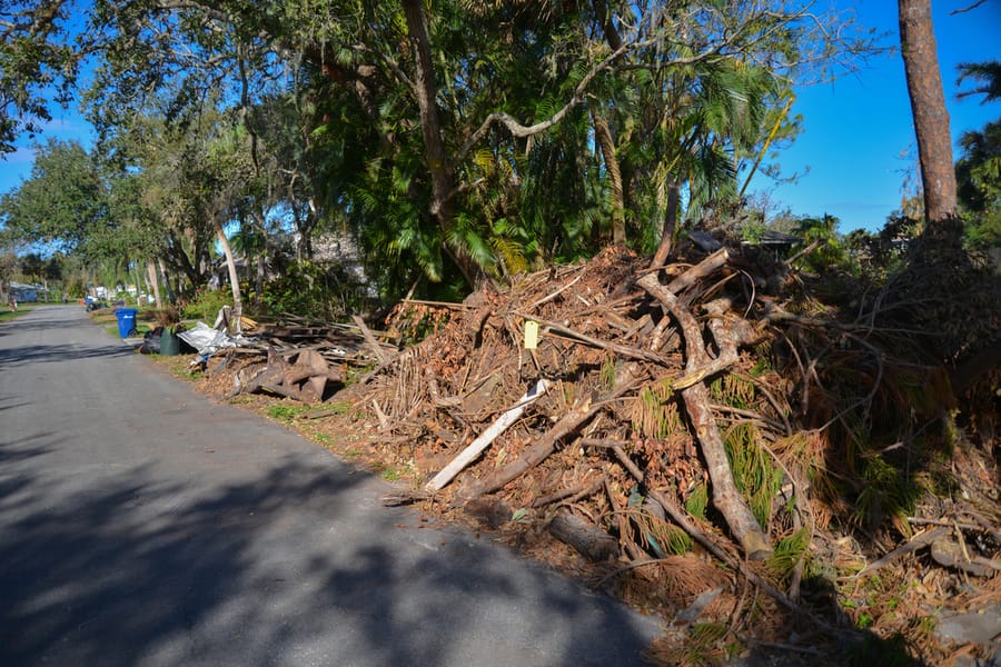 Ian - Vegetative Debris Removal