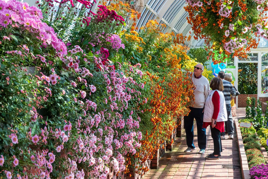 Phipps Conservatory Fall Floral Display_81_Credit Phil Johnson II