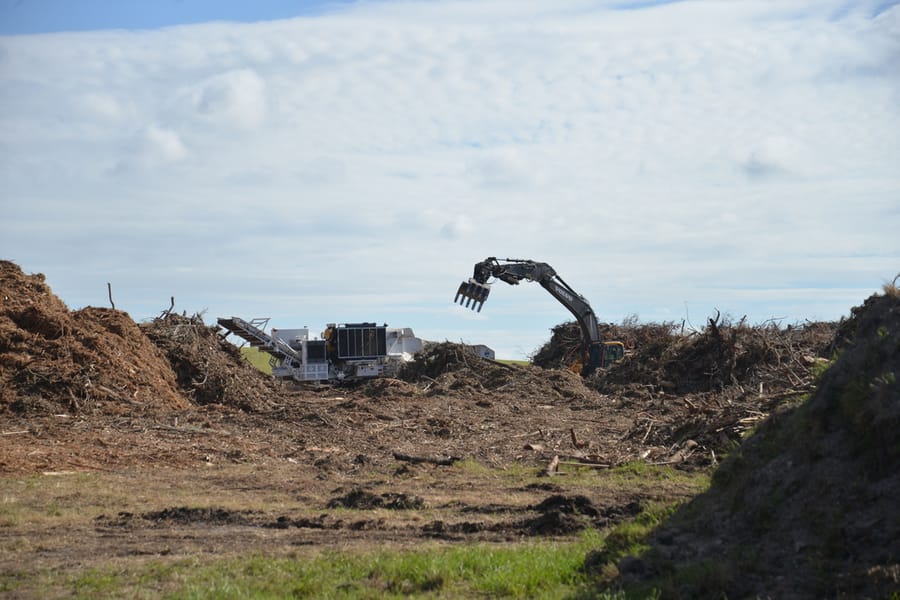Ian Storm Debris - Rothenbach Park