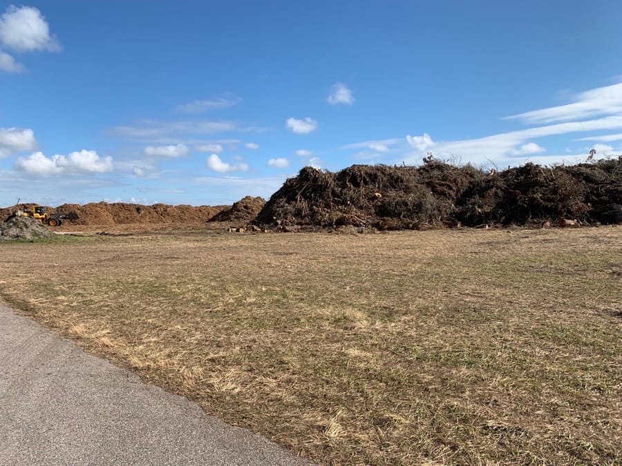 Ian Storm Debris - Rothenbach Park