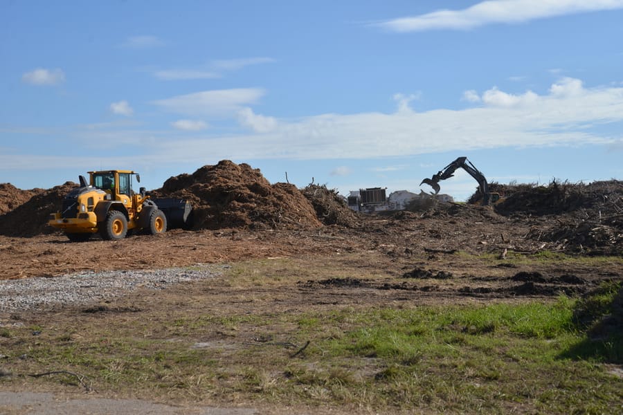 Ian Storm Debris - Rothenbach Park
