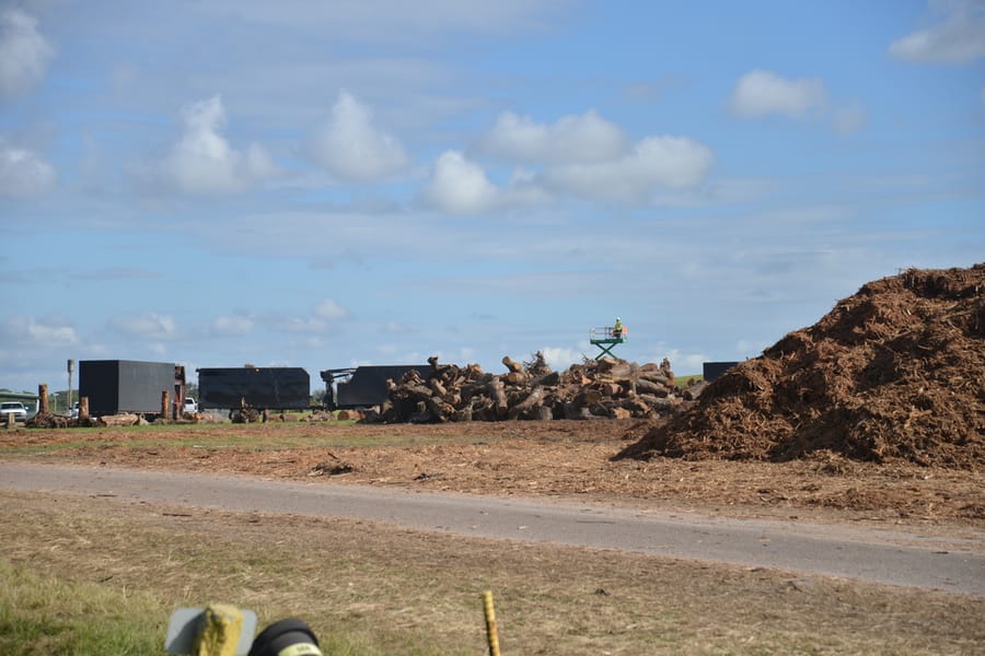 Ian Storm Debris - Rothenbach Park