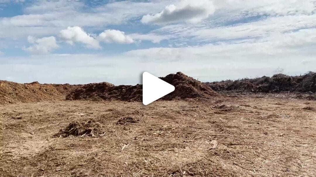 Rothenbach Storm Debris Pile