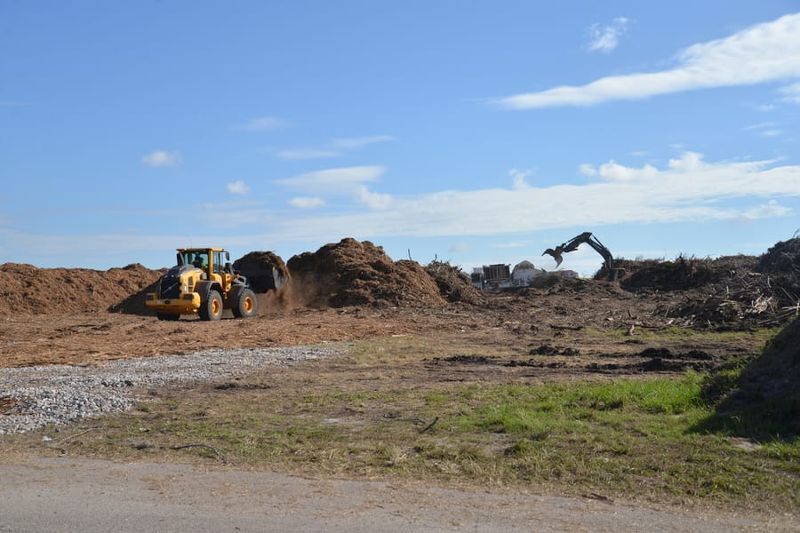 Ian Storm Debris - Rothenbach Park
