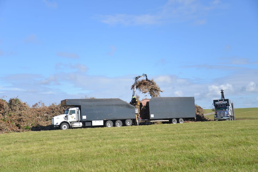 Ian Storm Debris - Rothenbach Park