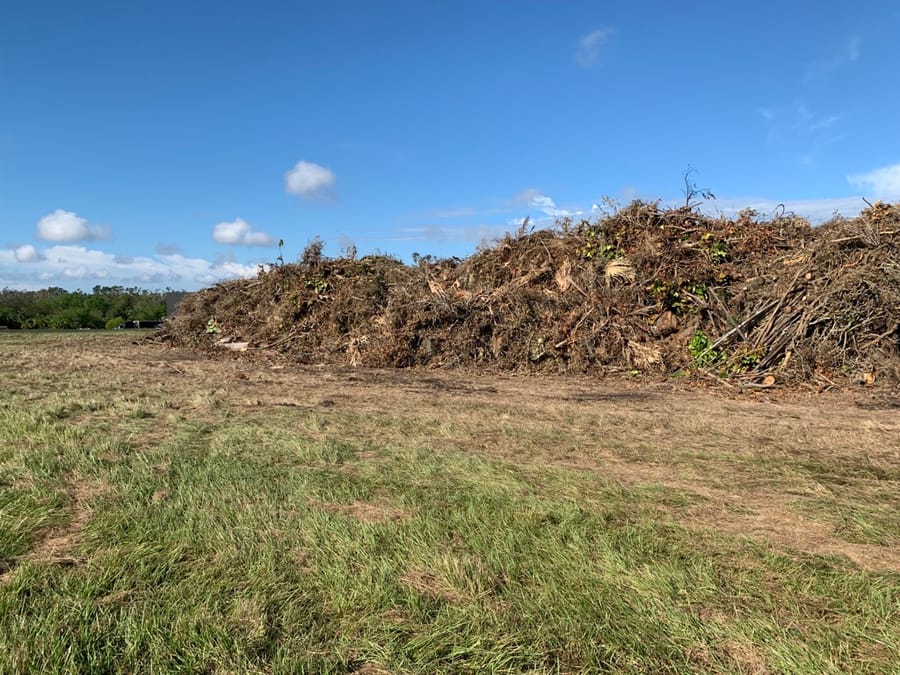 Ian Storm Debris - Rothenbach Park