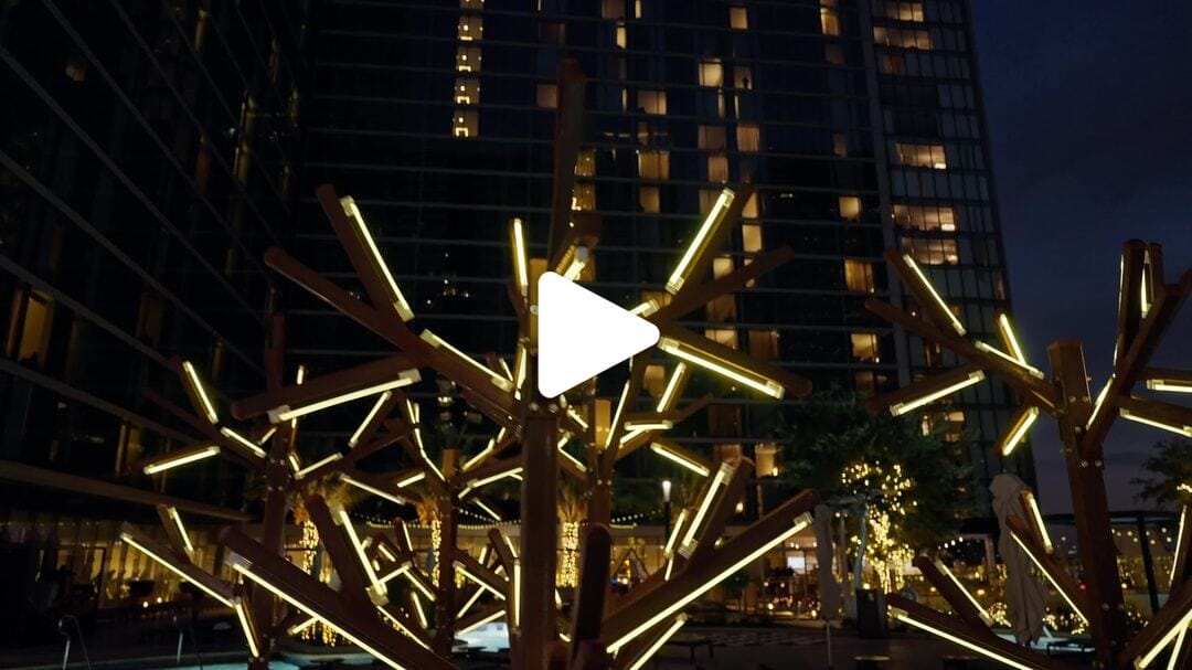 Marriott-Texas_Winter_Lights_2022_5