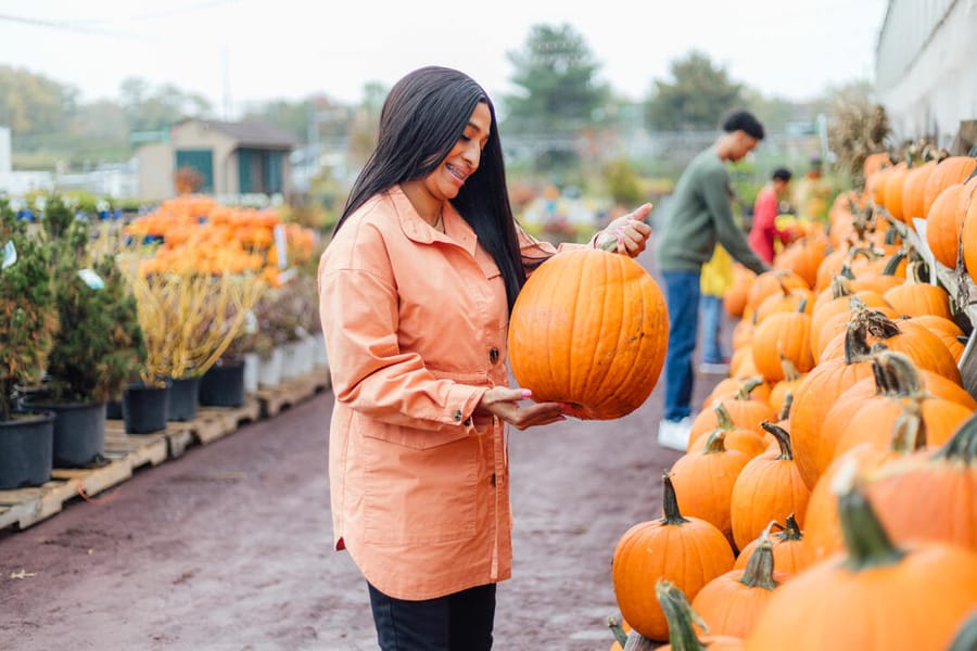 Shady Brook Farm