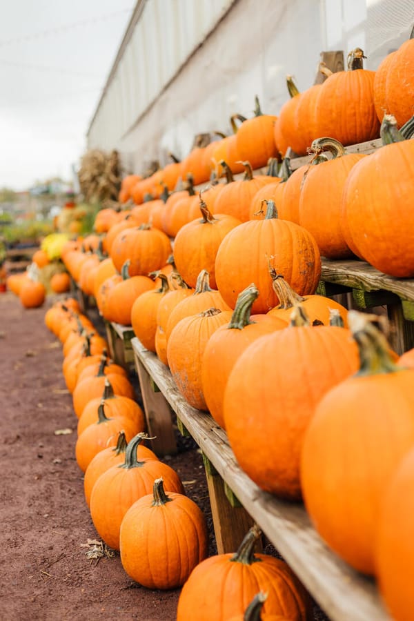 Shady Brook Farm