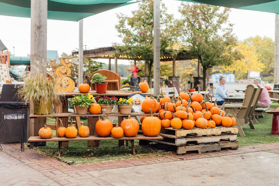 Shady Brook Farm