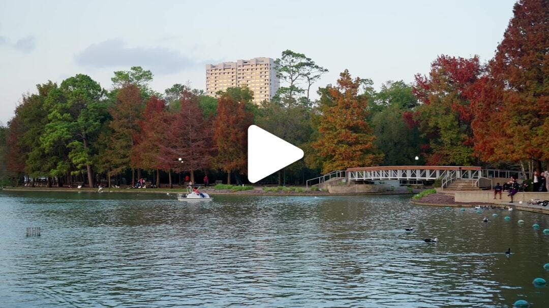 Hermann_Park_McGovern_Lake_Fall_Foliage_1