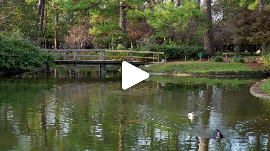 Japanese_Garden_Hermann_Park_1