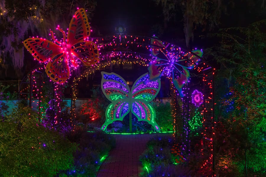 Selby Garden's Lights in Bloom