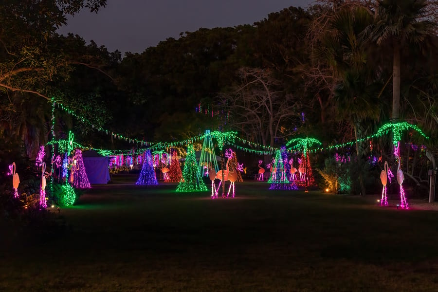 Selby Garden's Lights in Bloom