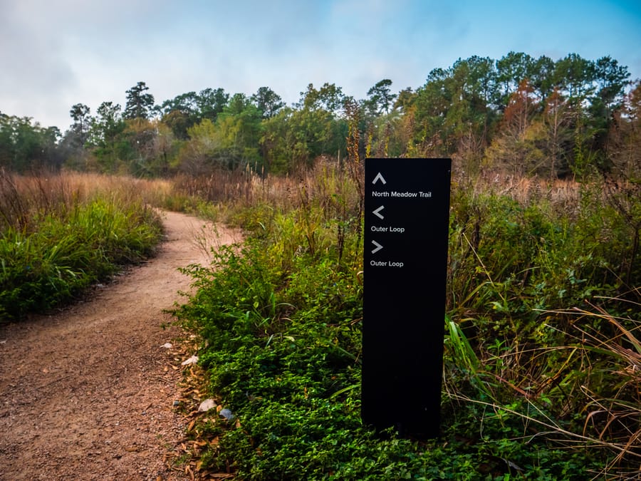 Houston_Arboretum_4