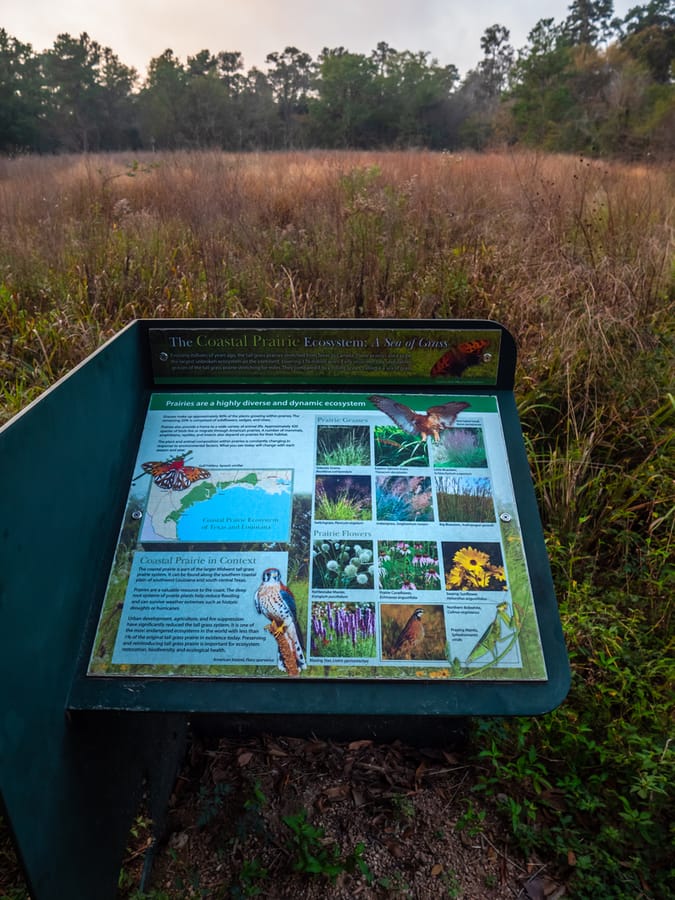 Houston_Arboretum_3