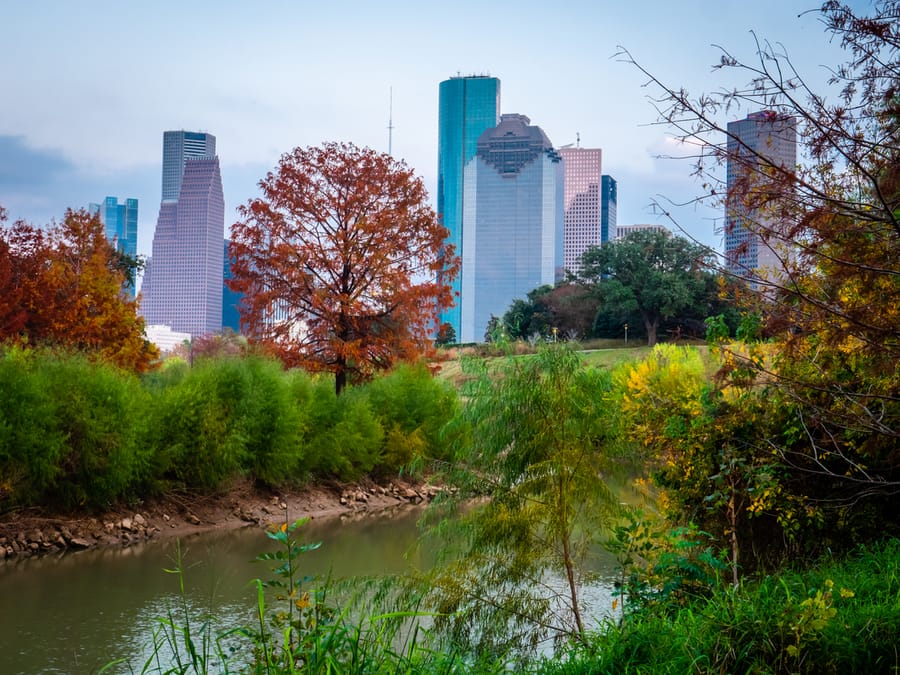 Buffalo_Bayou_Park_Fall_Foliage_6