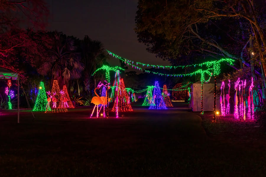 Selby Garden's Lights in Bloom