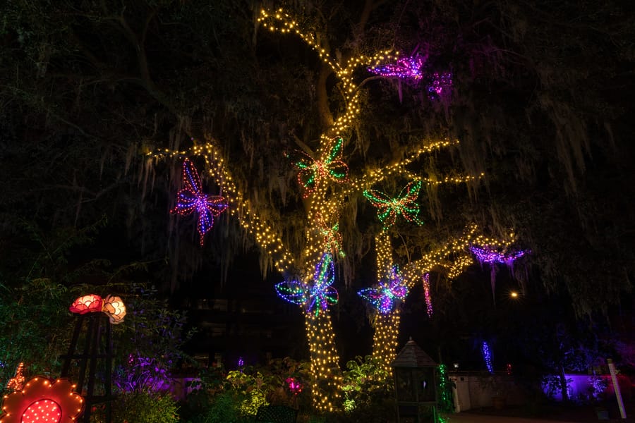 Selby Garden's Lights in Bloom