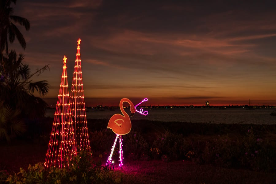 Selby Garden's Lights in Bloom