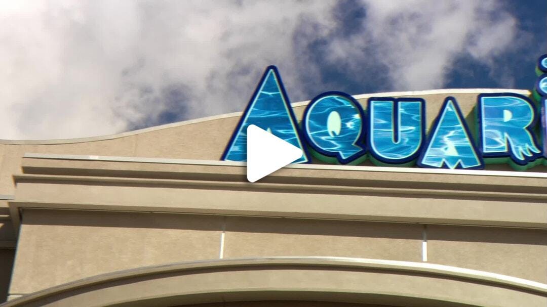 Downtown_Aquarium_2