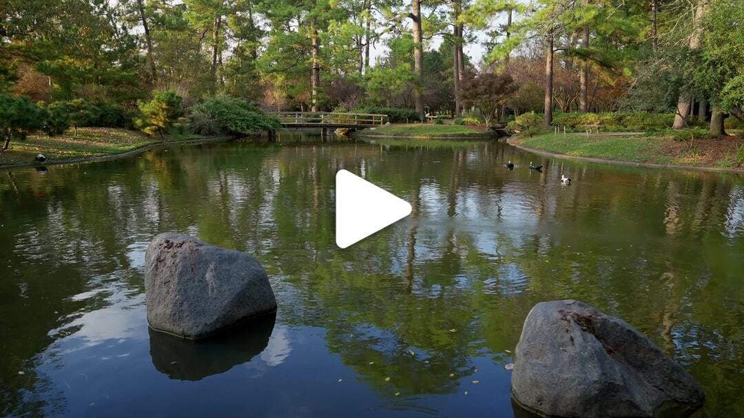 Japanese_Garden_Hermann_Park_2