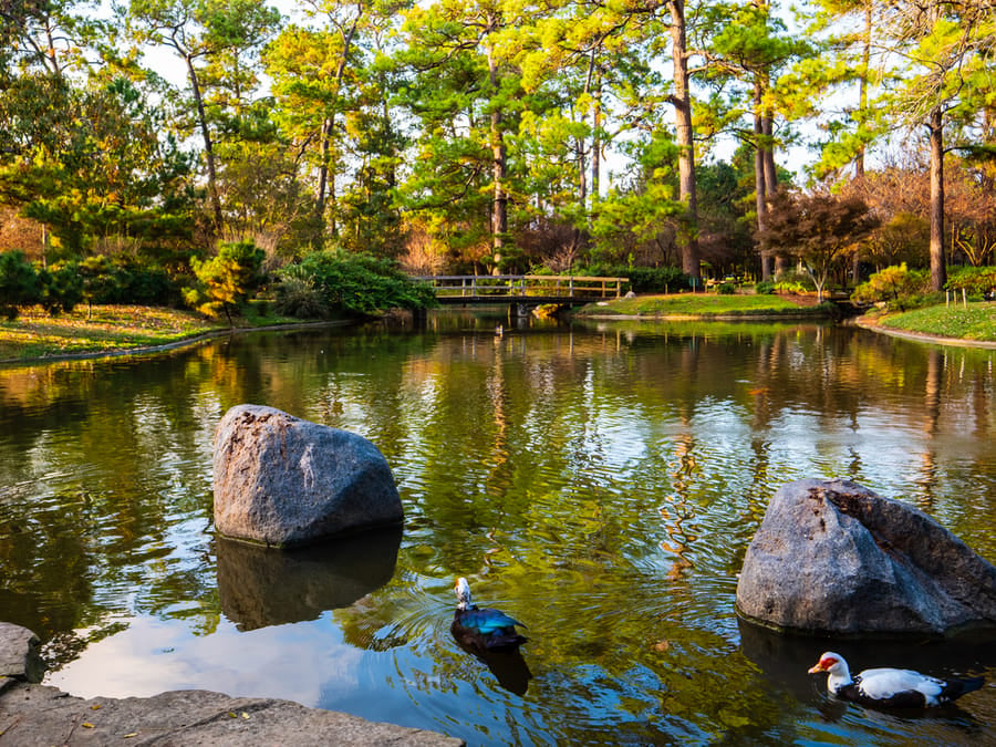 Japanese_Garden_Hermann_Park_2