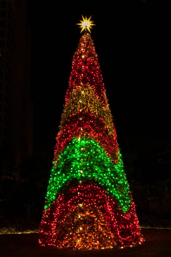 Selby Garden's Lights in Bloom