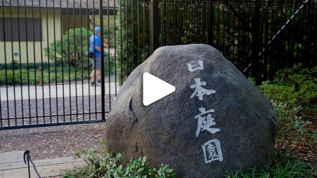 Japanese_Garden_Hermann_Park_7