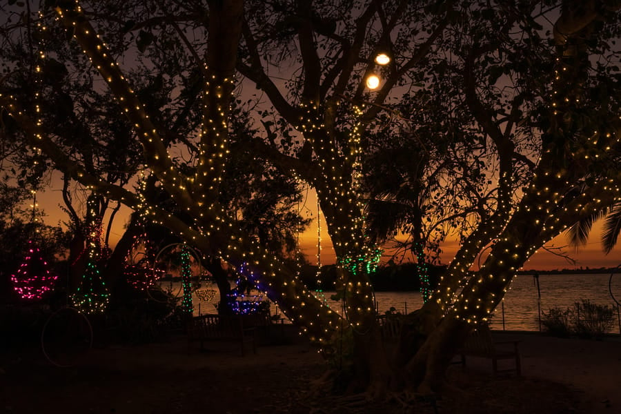 Selby Garden's Lights in Bloom