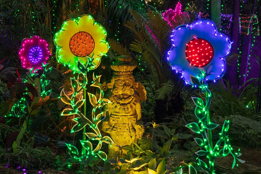 Selby Garden's Lights in Bloom