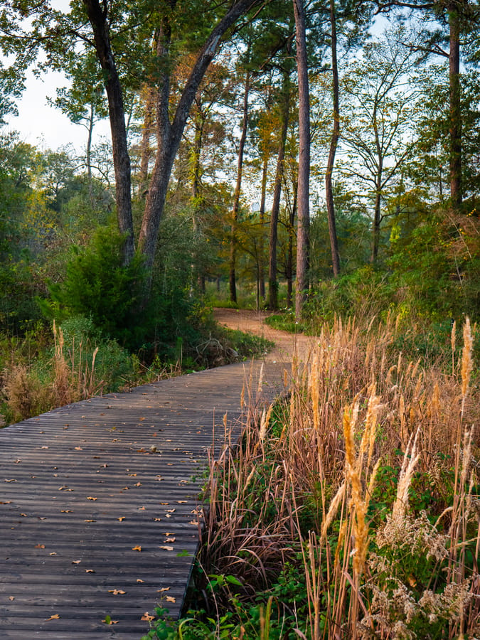 Houston_Arboretum_1