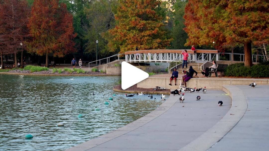 Hermann_Park_McGovern_Lake_Fall_Foliage_2