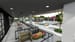Mariott Palmetto Resort & Spa Renderings