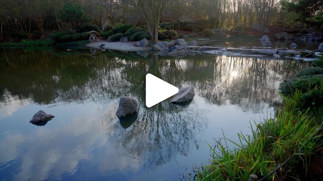 Japanese_Garden_Hermann_Park_4