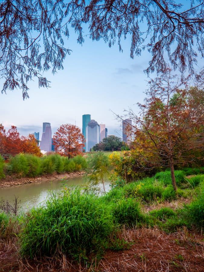 Buffalo_Bayou_Park_Fall_Foliage_5