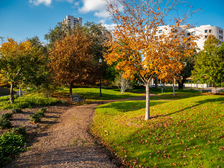 McGovern_Centennial_Gardens_Fall_Foliage_1