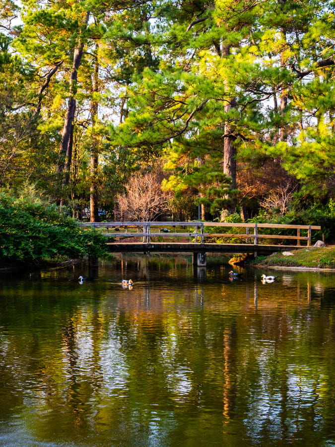 Japanese_Garden_Hermann_Park_1